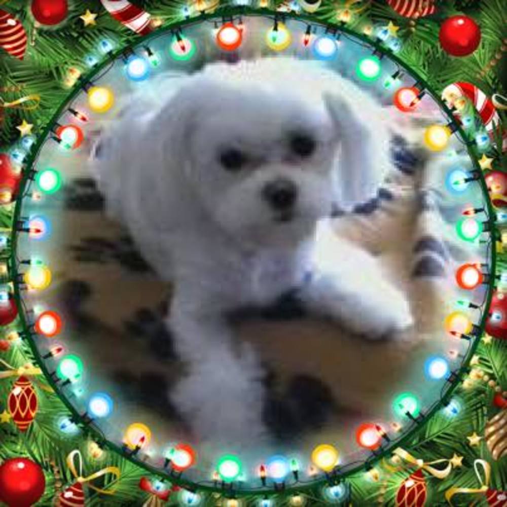 Meet your Posher, Russ-carlee